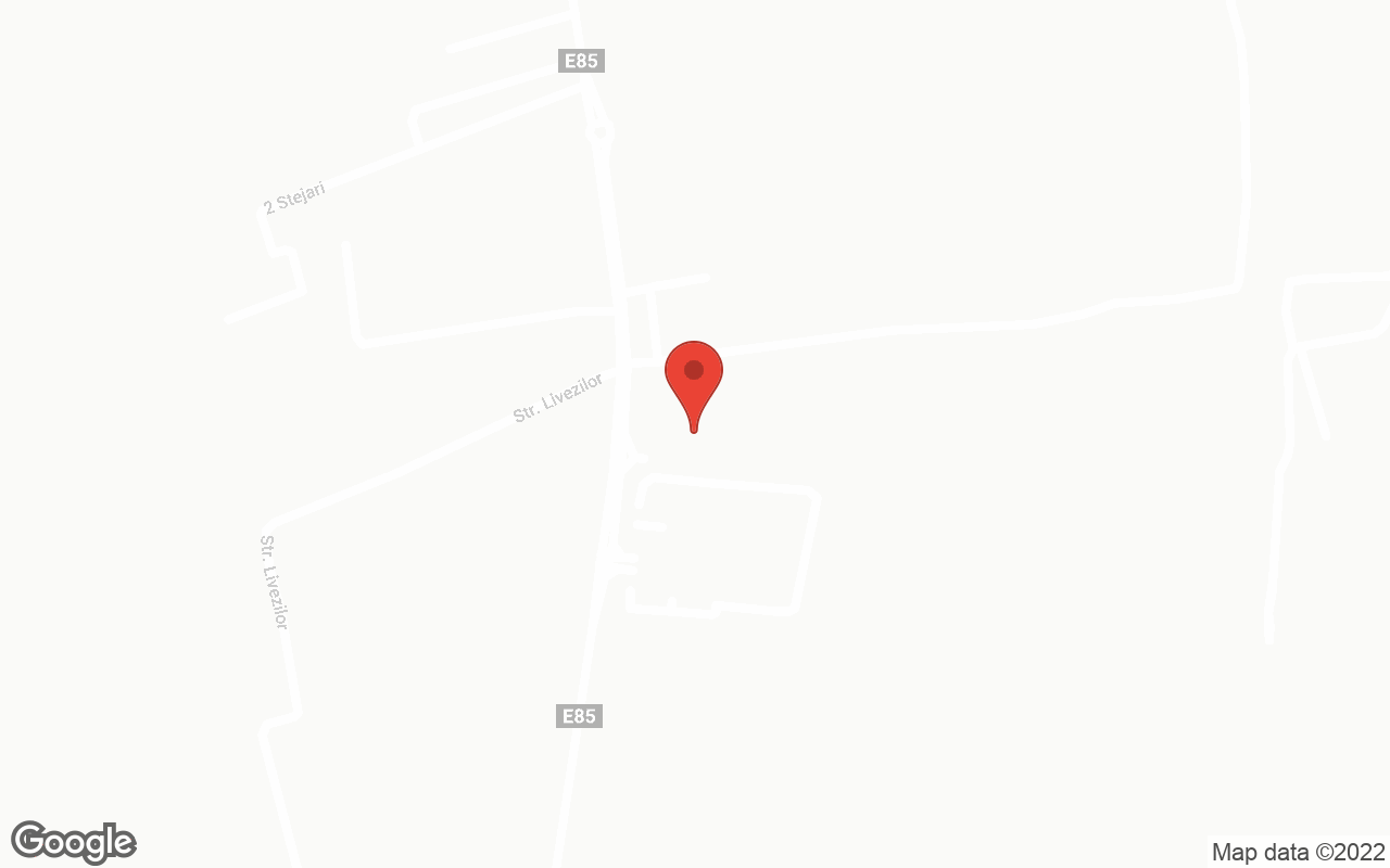 Ford, Hyundai, Mercedes-Benz I Bacau